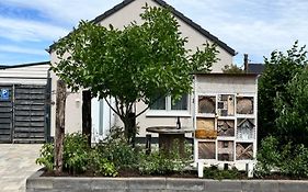 Gemütliches Eifeler Gästehäuschen